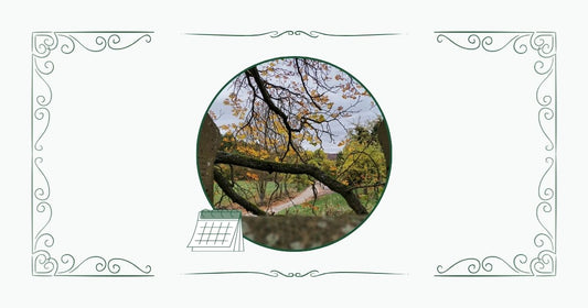 Zartgrünes Bannerbild mit einem runden Naturfoto