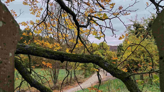 Ausblick von dem Krukenburg-Tor in Helmarshausen.