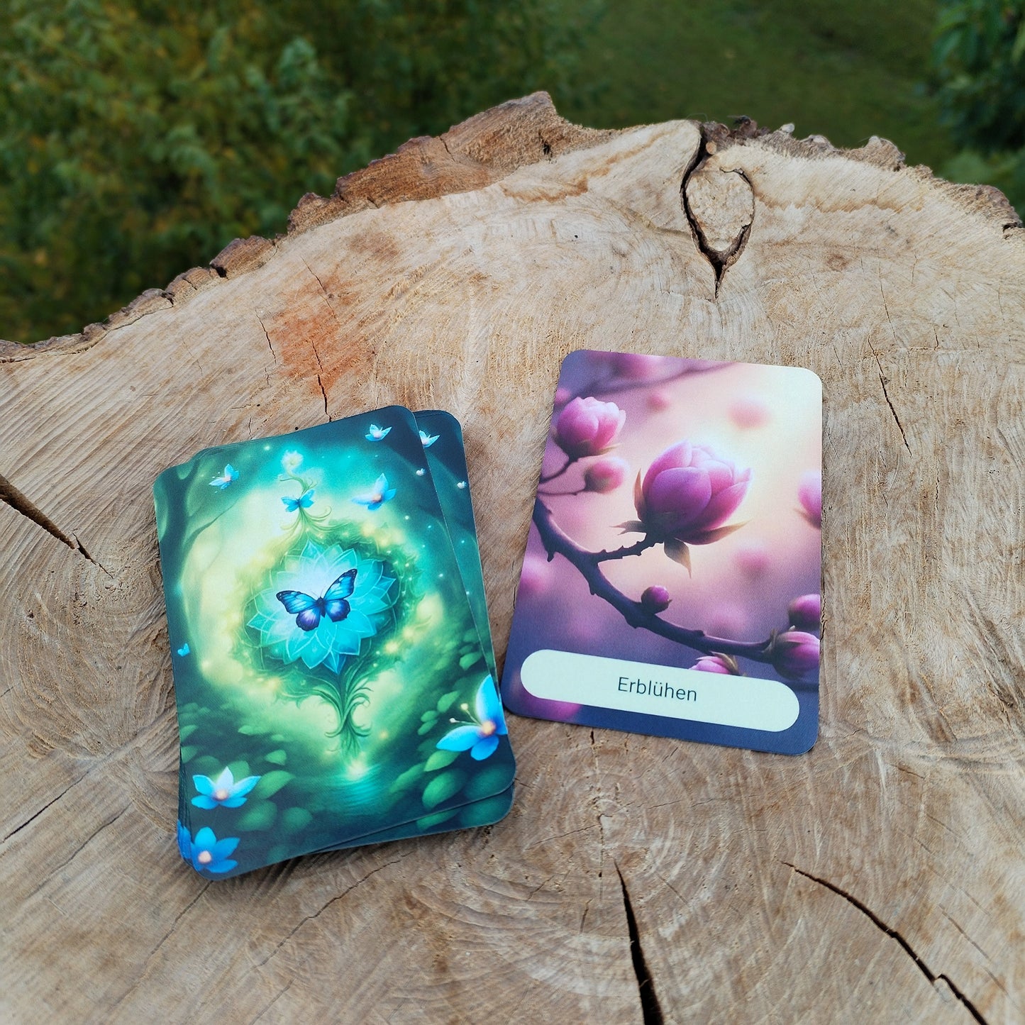 Kate "Erblühen" aus dem Jahreszeiten-Kartendeck, Frühlingsmotiv mit einer Kirschblütenknospe, daneben Rückseite mit einem Schmetterling und Blüten