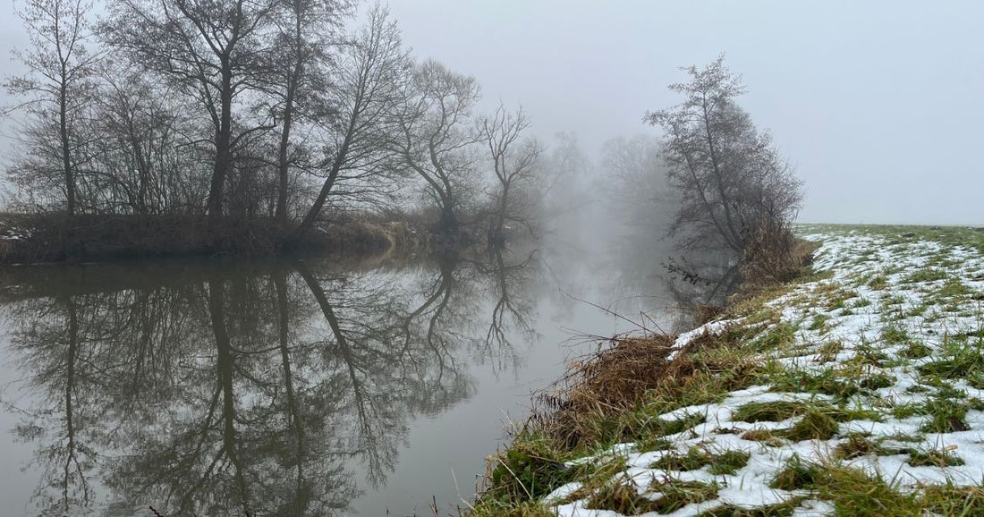 Ein kühler, nebliger Tag am Fluß mit Bäumen und Schneeresten am Ufer.