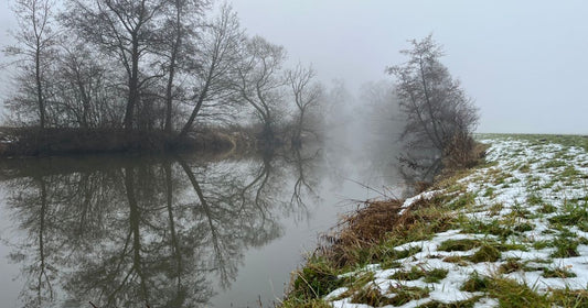 Ein kühler, nebliger Tag am Fluß mit Bäumen und Schneeresten am Ufer.