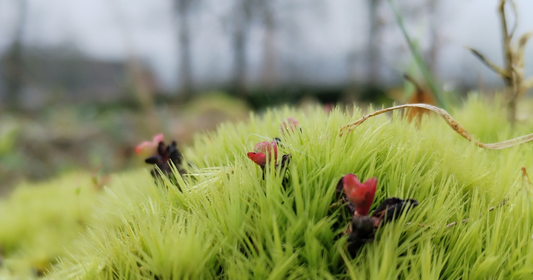 Vom Reduzieren näher zum Kern: Was 2025 in mir verändert hat.