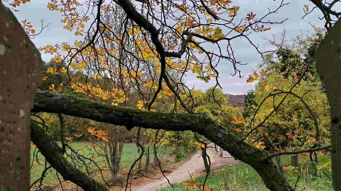 Ausblick von dem Krukenburg-Tor in Helmarshausen. 