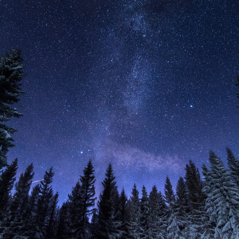 Die 12 Rauhnächte, Bräuche und Rituale, Christin Bollow-Astrologische & Spirituelle Beratung- Blog