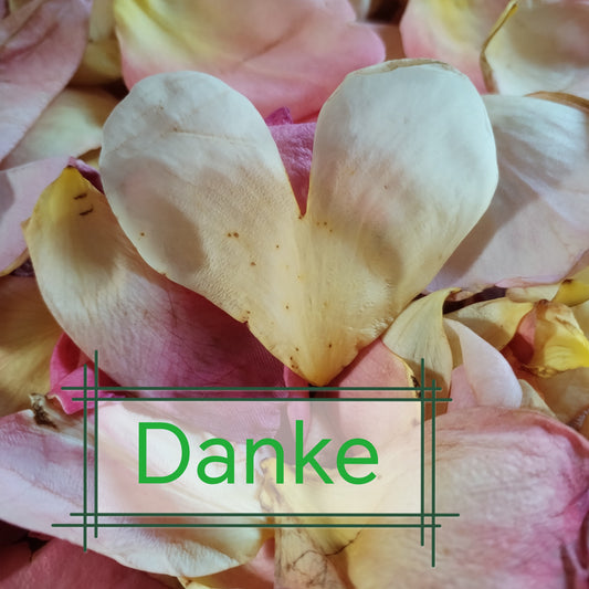 Herzförmiges Rosenblütenblatt auf einzelnen Rosenblütenblättern, mit dem Wort: Danke. Produkt- Unterstützung für meine Arbeit