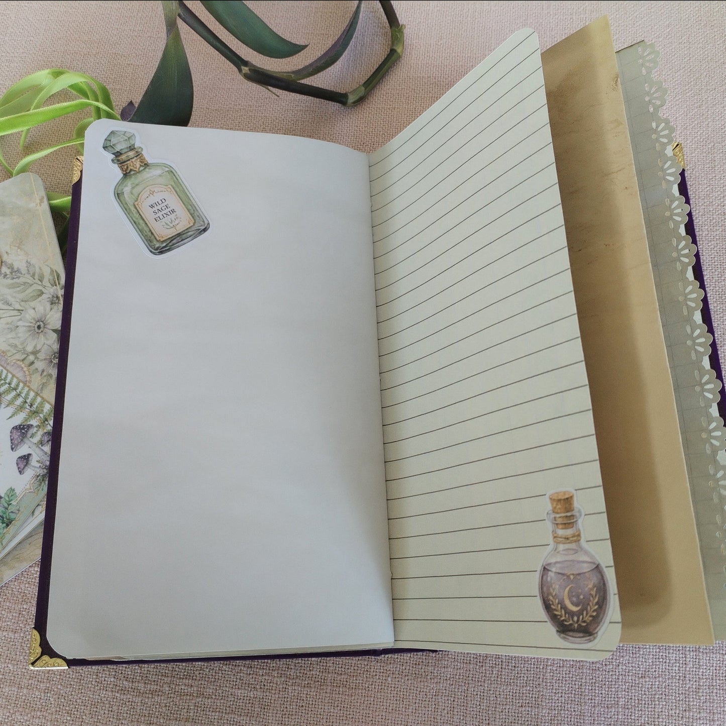Journal Lila-Grün verzierte Innenseite mit Alchemie-Fläschchen-Sticker